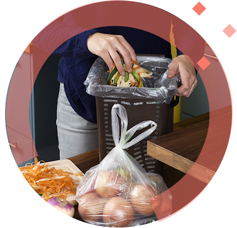 végéos sacs biosourcés sacs biodégradables et compostables en compostage domestique
